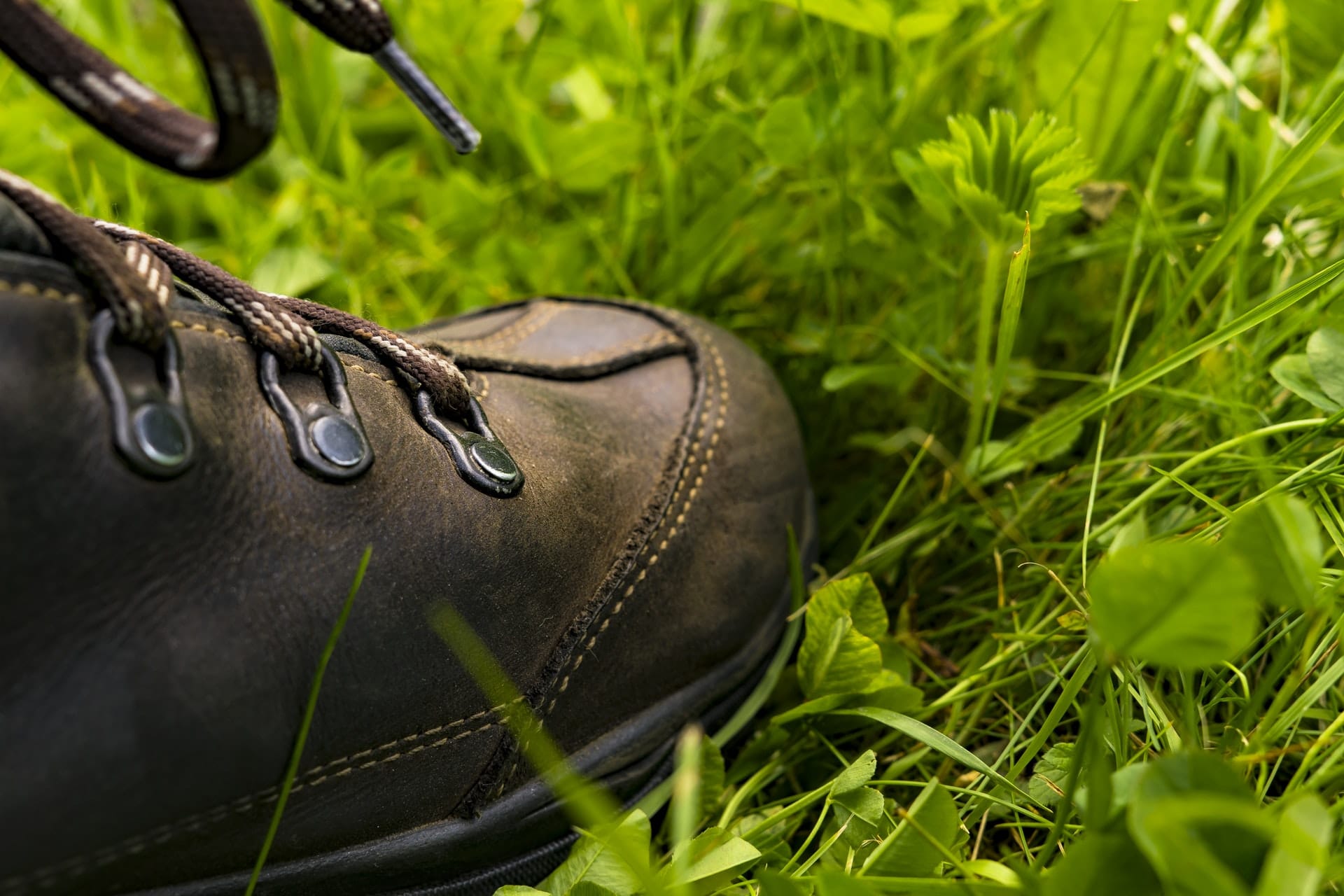 Hiking Boots Grass