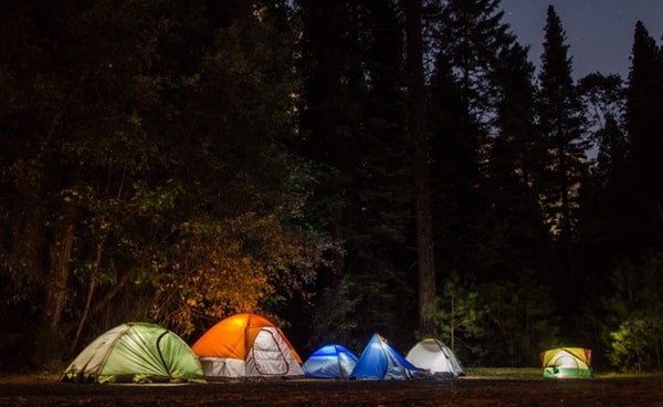 camping tents in forest
