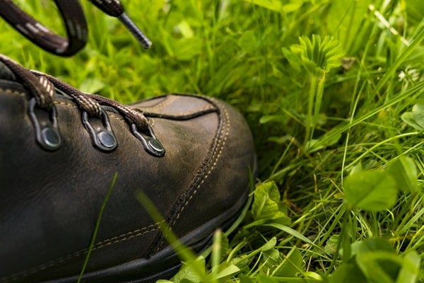 Hiking boots on grass field