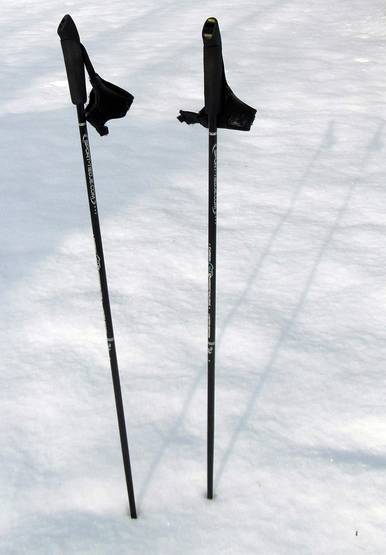 Ski trekking poles