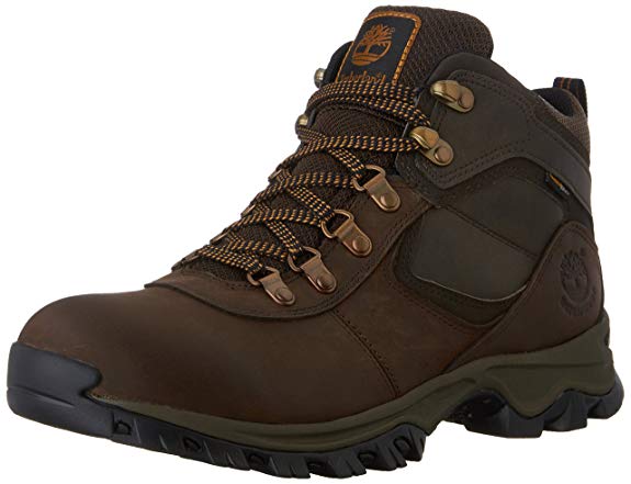 Timberland Men's Mt. Maddsen Hiker Boot