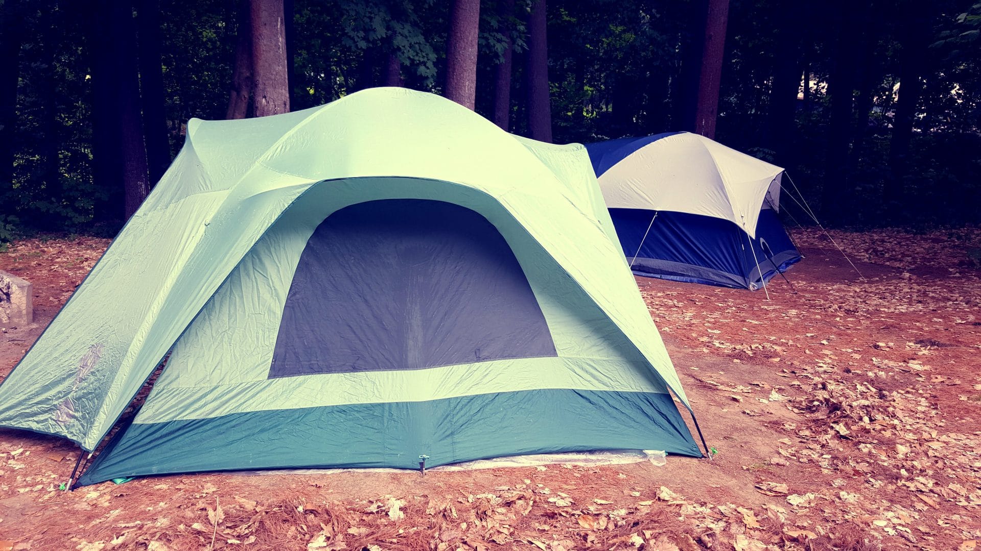 tent on the woods