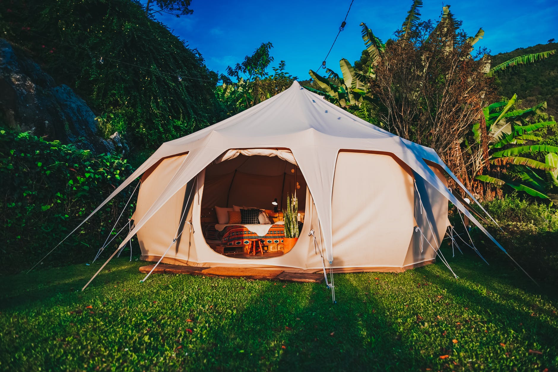 Lotus belle tent near trees