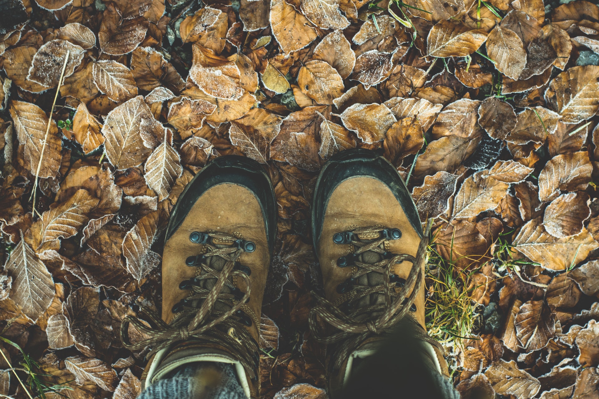 Asolo Hiking Boots: Men's and Women's, Are These Right for You?